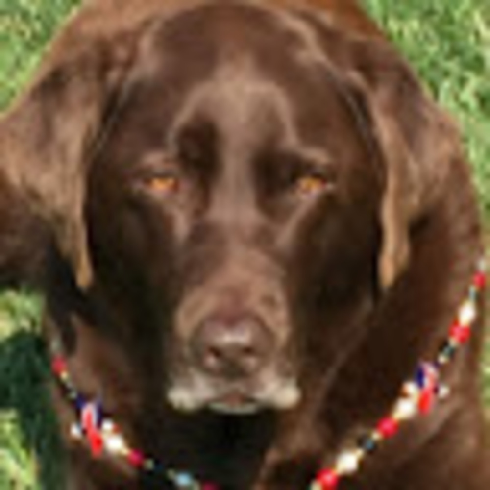 Meet your Posher, Jeannette